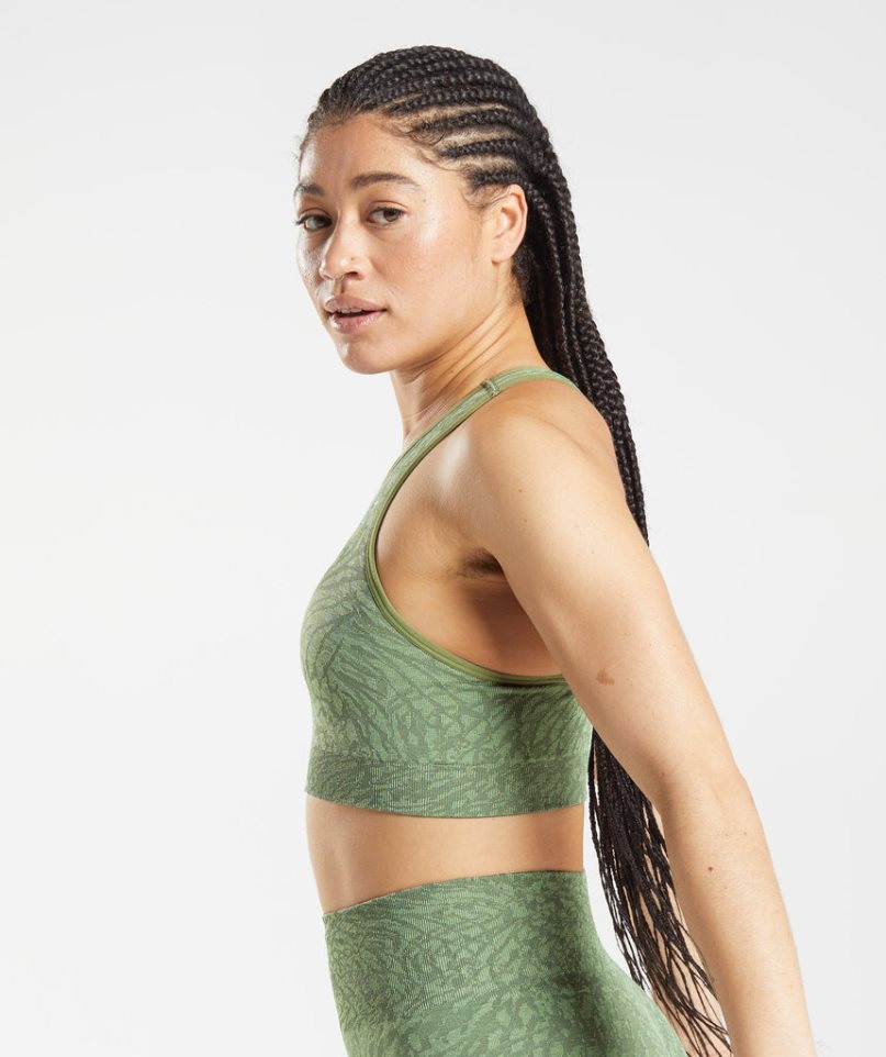 Women's Gymshark Adapt Animal Seamless Sports Bra Green | NZ 2DOJTL